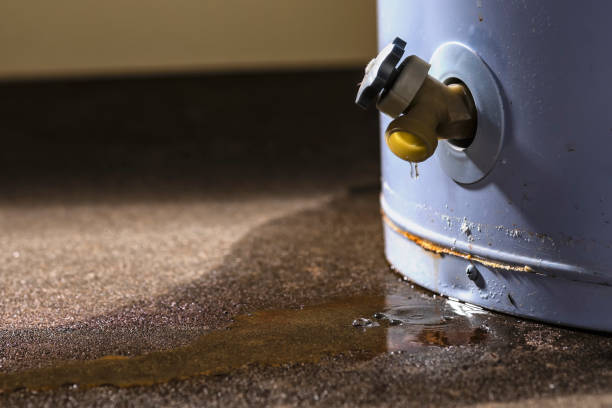 Best Professional water damage repair  in Jefferson, GA