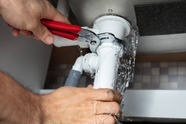 Best Flooded house restoration  in Jefferson, GA