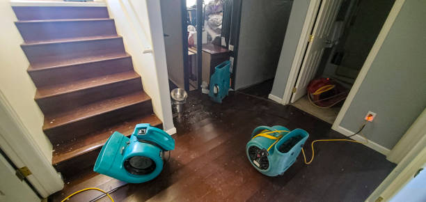 Best Water damage restoration near me  in Jefferson, GA