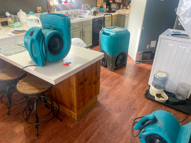 Water damage restoration mold remediation in Jefferson, GA