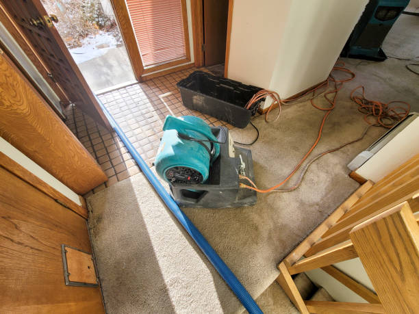 Best Ceiling water damage repair  in Jefferson, GA