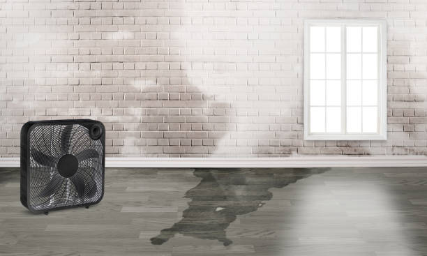 Water damage restoration insurance claims in Jefferson, GA