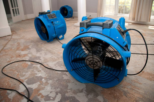 Best Flood restoration services  in Jefferson, GA