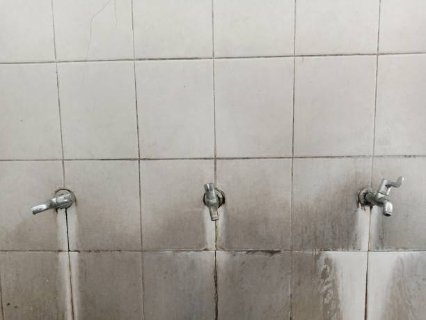 Best Water damage cleanup near me  in Jefferson, GA