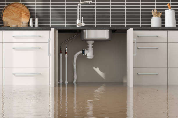 Best Emergency water damage restoration  in Jefferson, GA