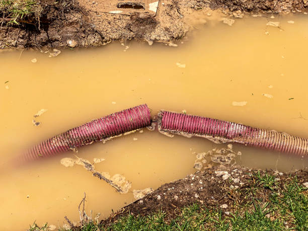 Best 24/7 water damage repair  in Jefferson, GA