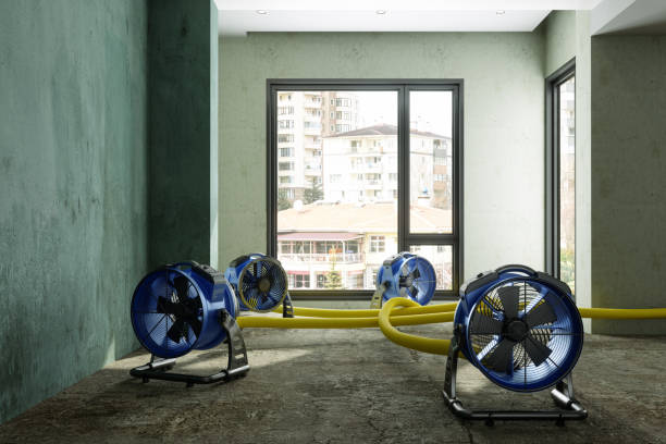 Professional Water damage restoration in Jefferson, GA